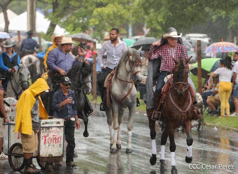 HIPICO